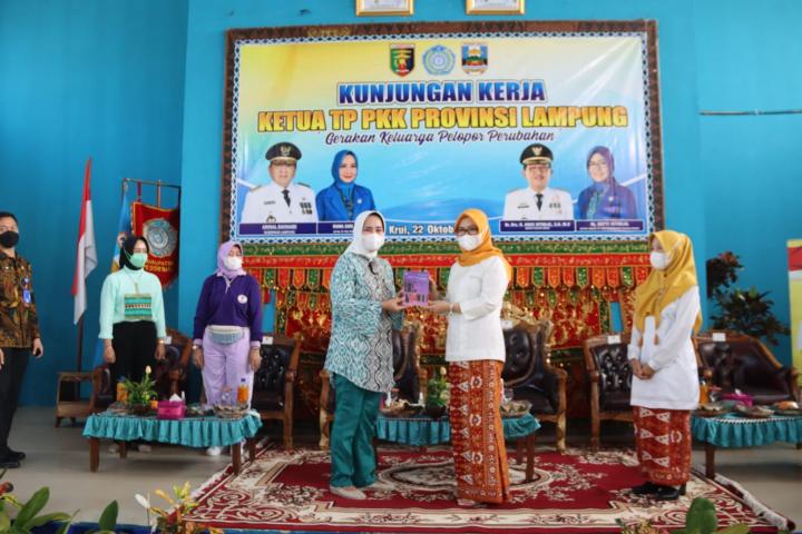 Ketua TP. PKK Provinsi Lampung Lakukan Pembinaan Organisasi di Kabupaten Pesisir Barat